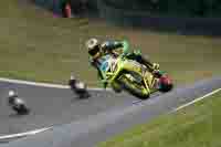 brands-hatch-photographs;brands-no-limits-trackday;cadwell-trackday-photographs;enduro-digital-images;event-digital-images;eventdigitalimages;no-limits-trackdays;peter-wileman-photography;racing-digital-images;trackday-digital-images;trackday-photos